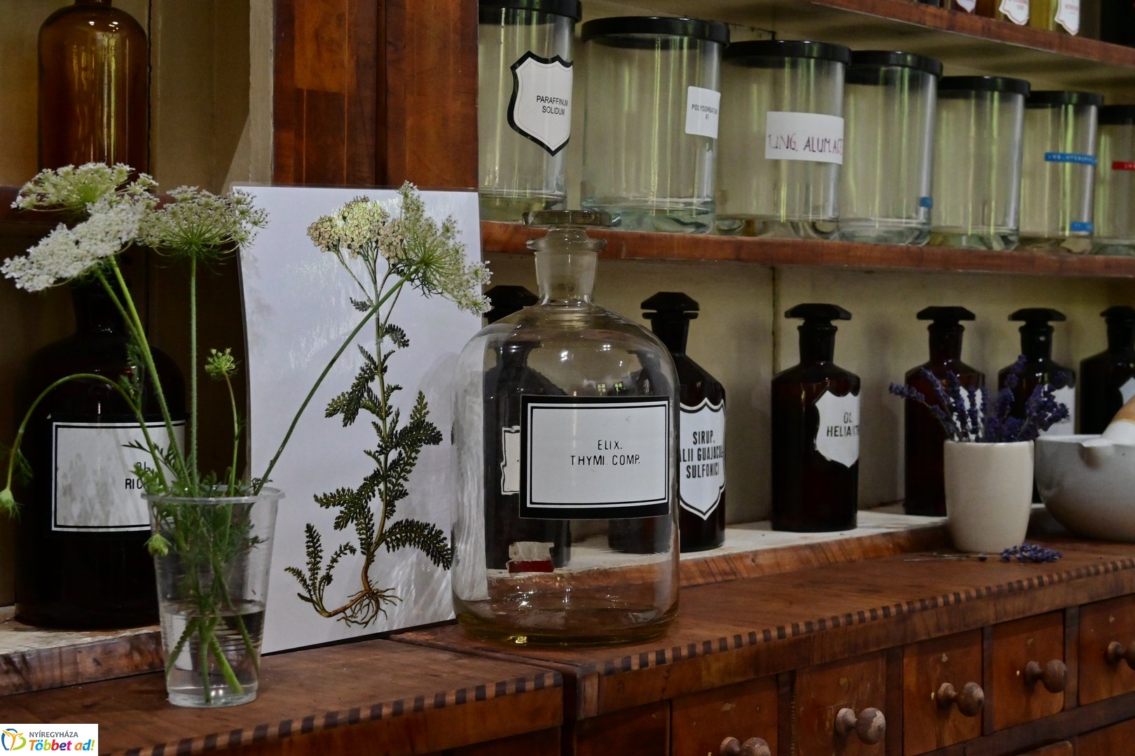 Nyári tábor a múzeumfaluban 2025 júliusában