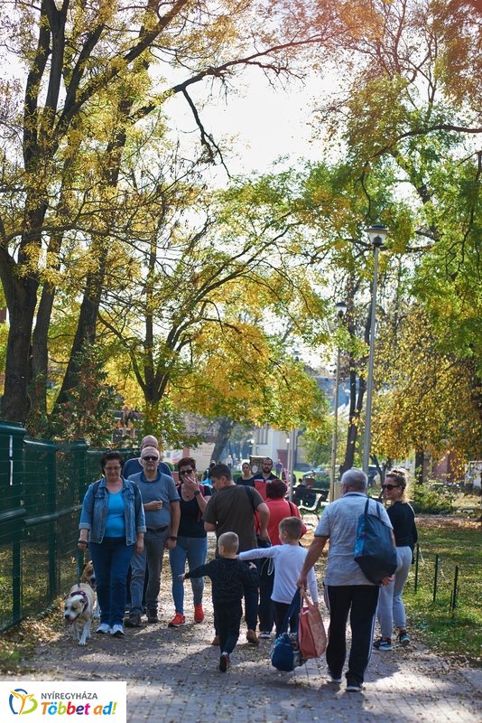 Nyárias ősz Sóstón 2019