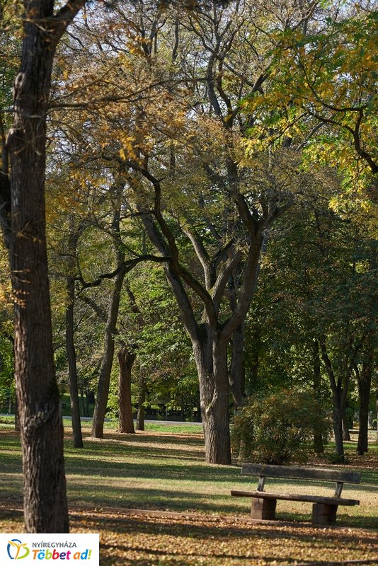 Nyárias ősz Sóstón 2019