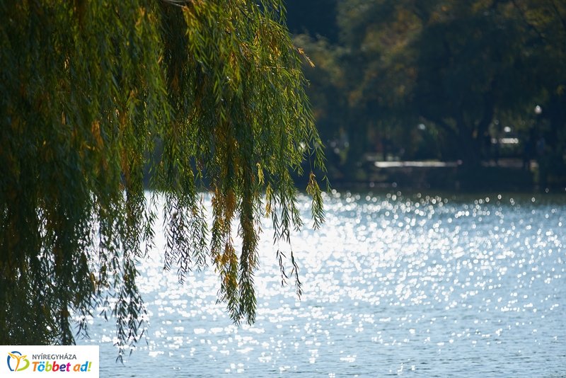 Nyárias ősz Sóstón 2019