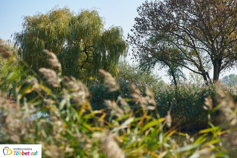 Nyárias ősz Sóstón 2019