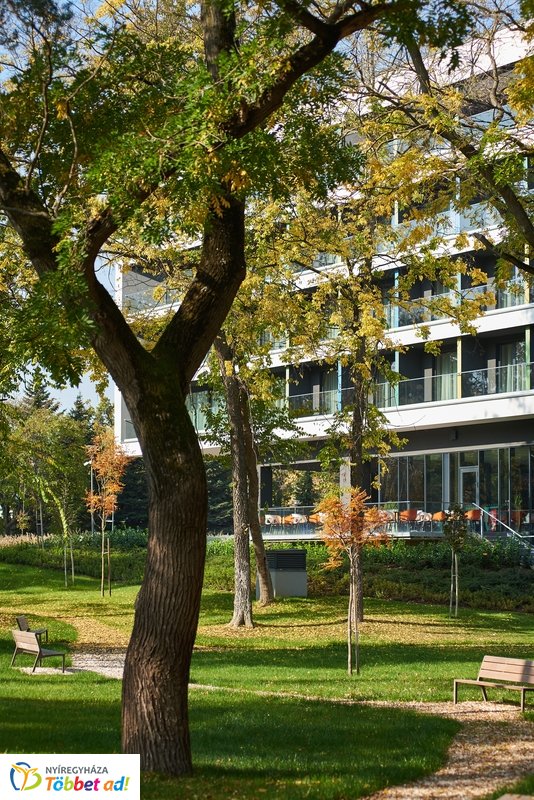 Nyárias ősz Sóstón 2019