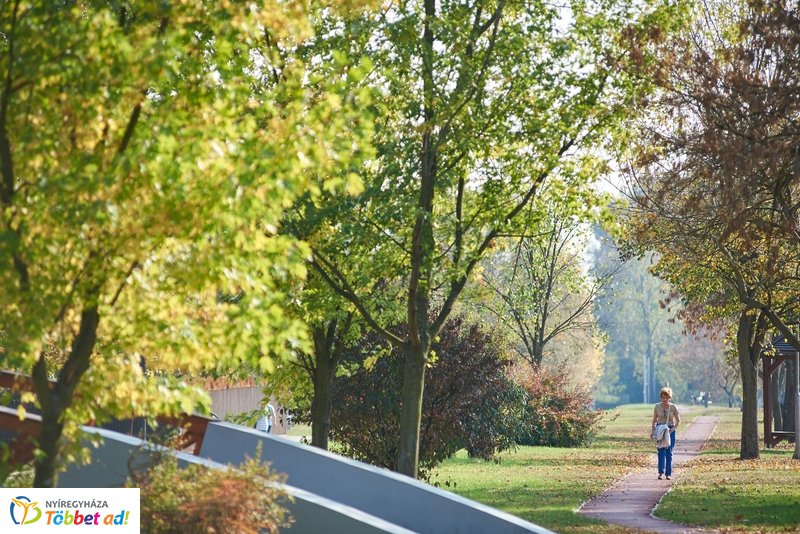 Nyárias ősz Sóstón 2019