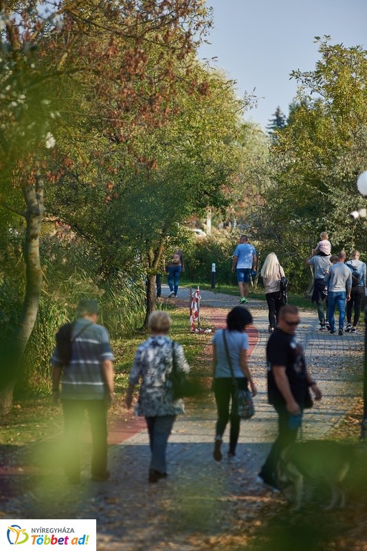 Nyárias ősz Sóstón 2019