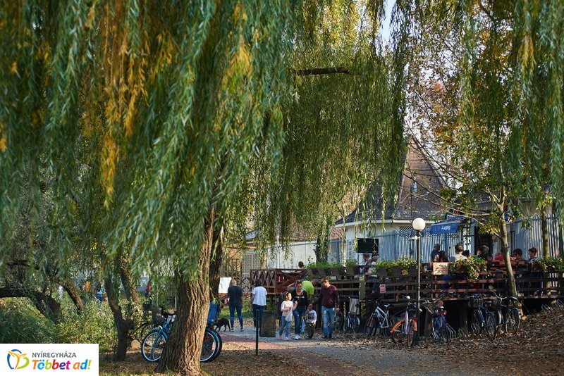 Nyárias ősz Sóstón 2019