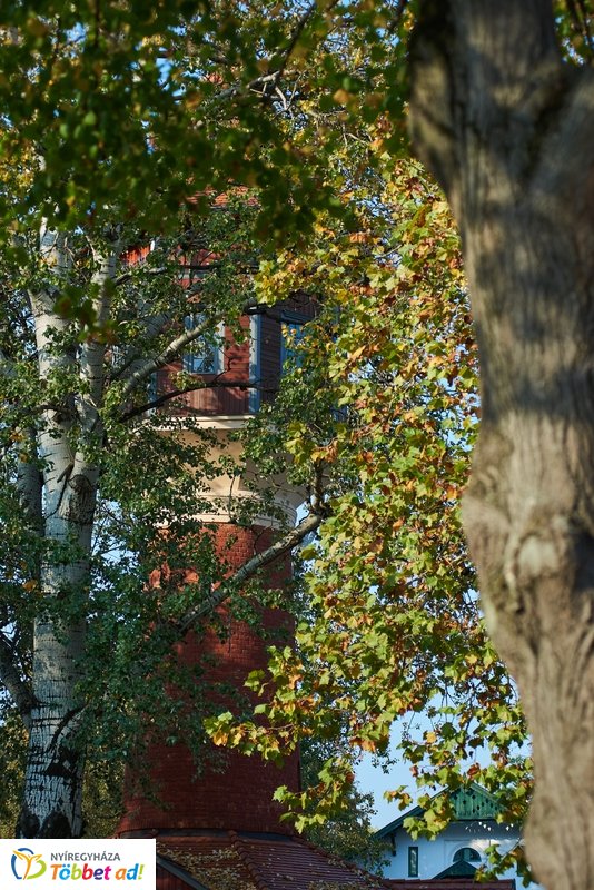 Nyárias ősz Sóstón 2019