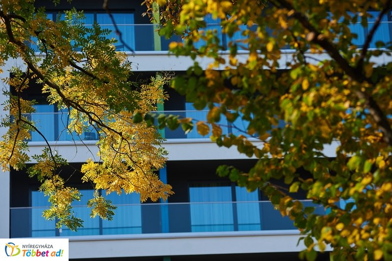 Nyárias ősz Sóstón 2019