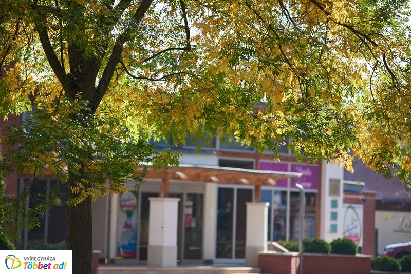 Nyárias ősz Sóstón 2019