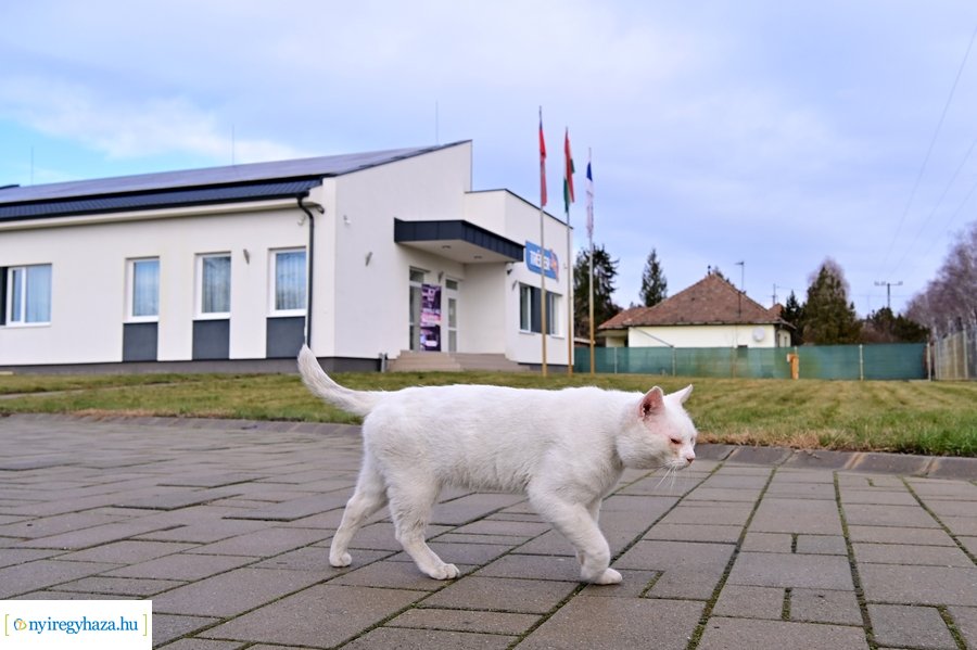 Nyílt Nap a repülőtéren 2024