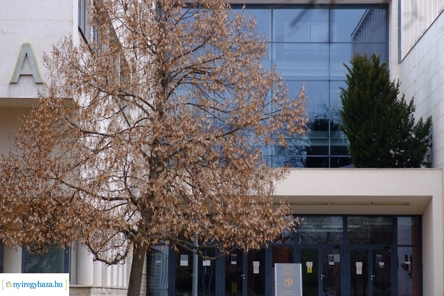 Nyílt Nap a természettudományi karon