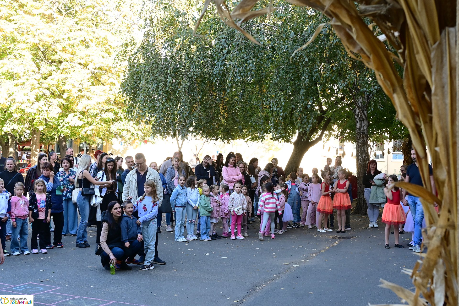 Nyílt nap az Apáczaiban