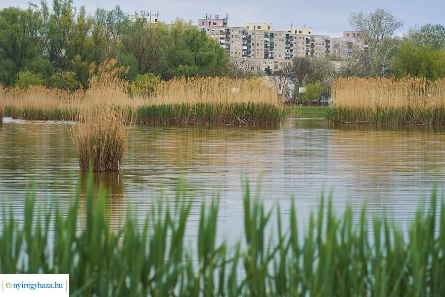 Nyíregyháza a Bujtoson
