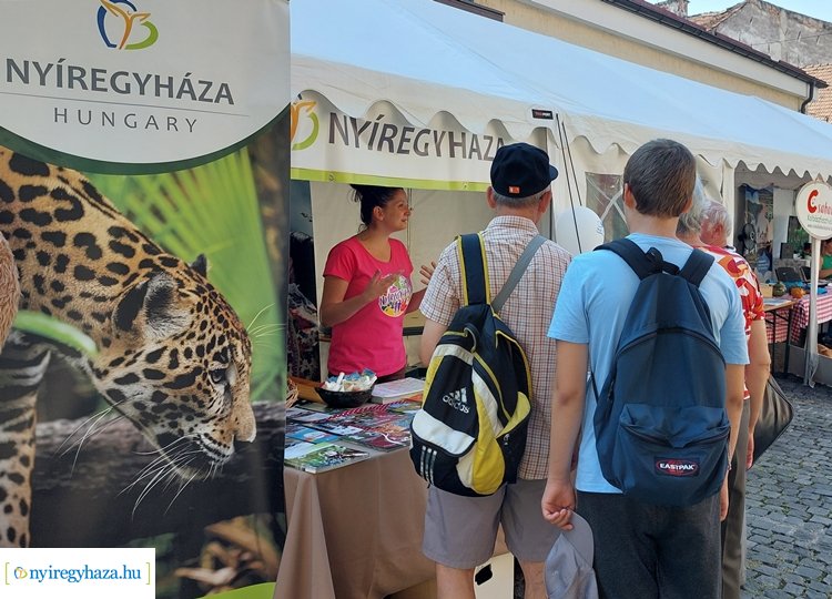 Nyíregyháza a Kolozsvári Magyar Napokon