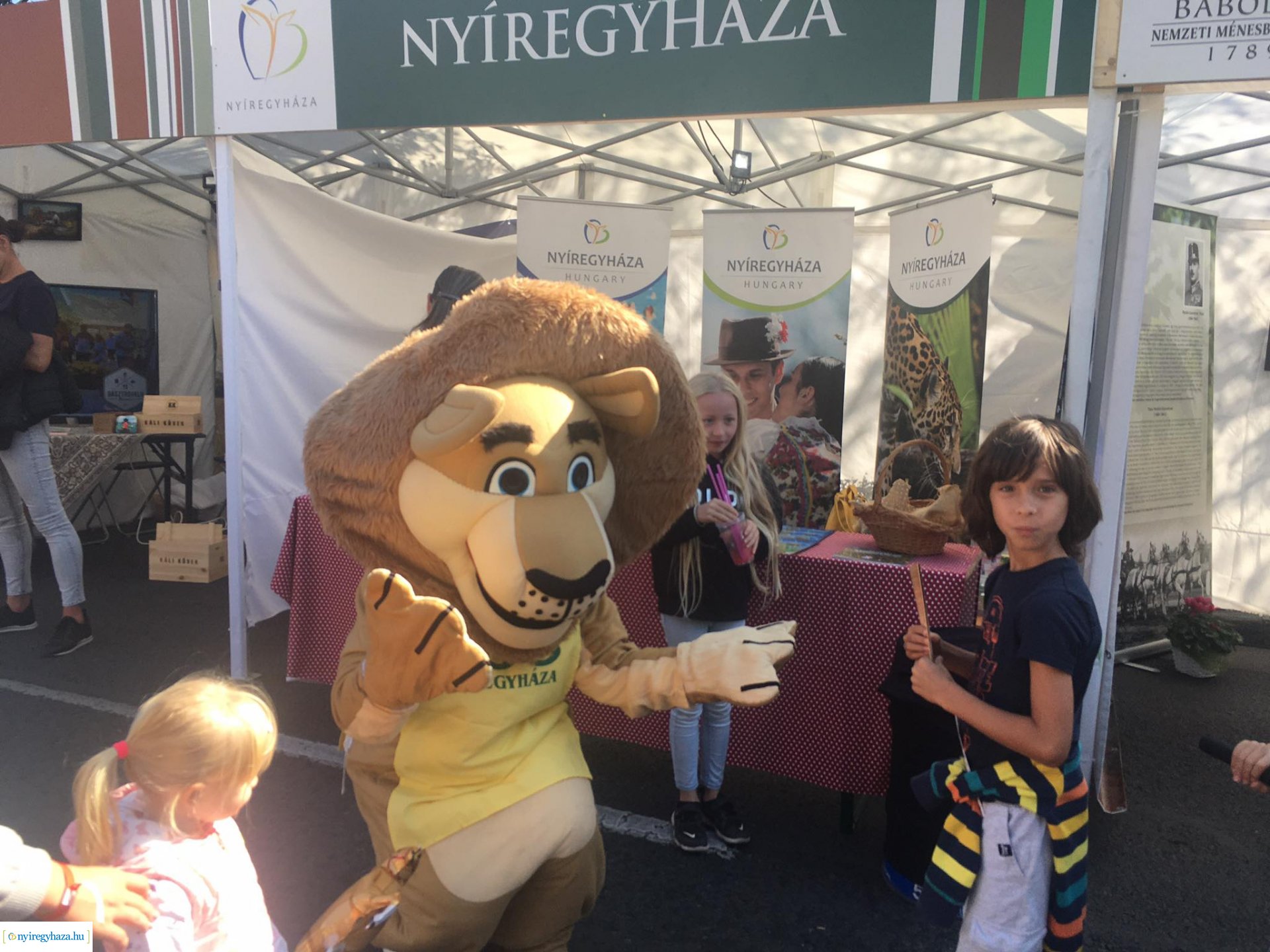 Nyíregyháza a Nemzeti Vágtán                                                              