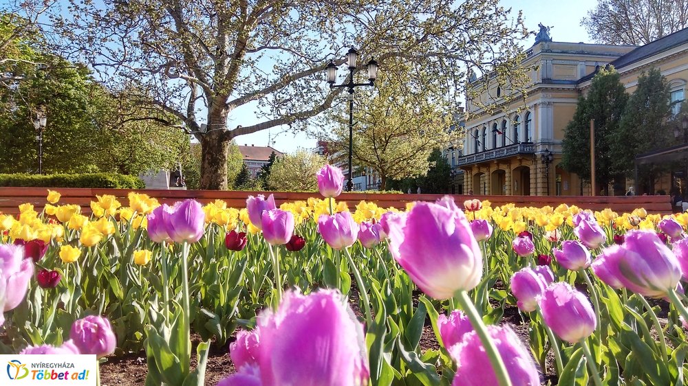 Nyíregyháza belvárosa Nagypénteken