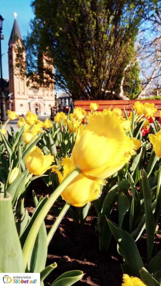 Nyíregyháza belvárosa Nagypénteken