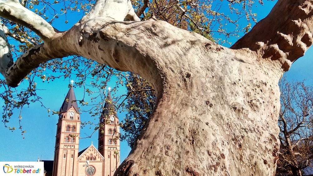 Nyíregyháza belvárosa Nagypénteken