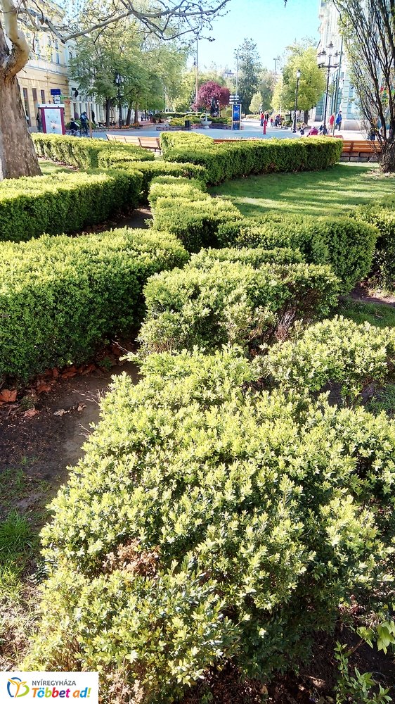 Nyíregyháza belvárosa Nagypénteken