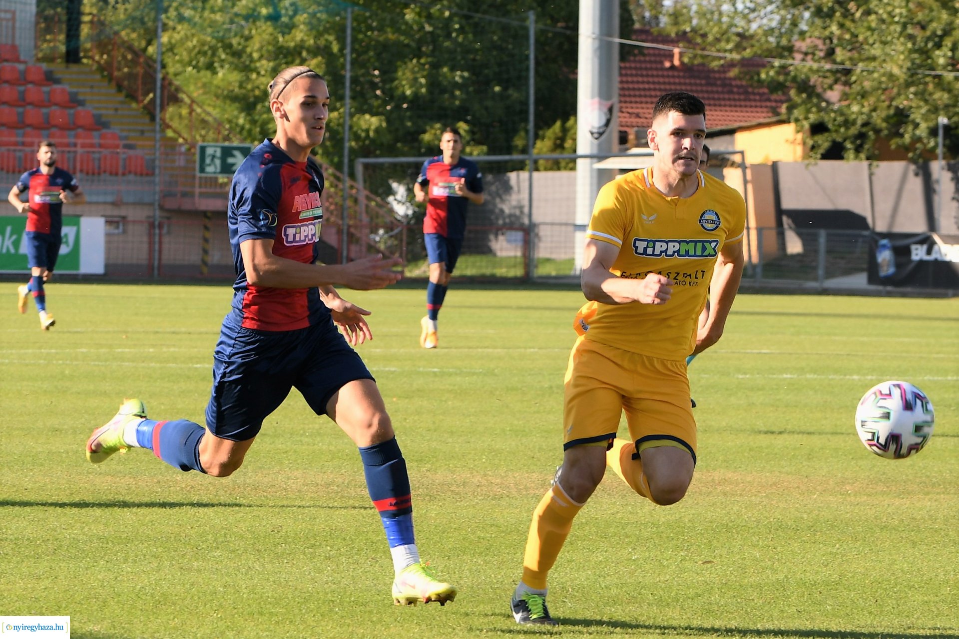 Nyíregyháza Spartacus-Csákvár 2021 ősz