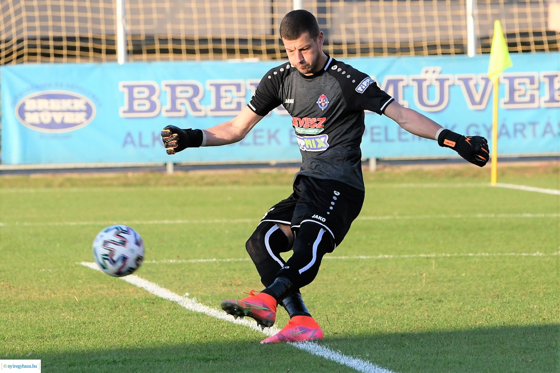 Nyíregyháza Spartacus-Csákvár 2021 ősz