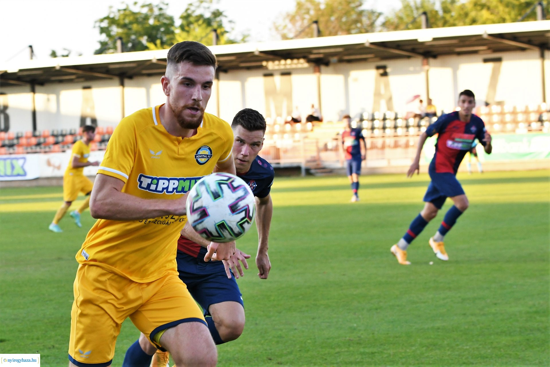 Nyíregyháza Spartacus-Csákvár 2021 ősz
