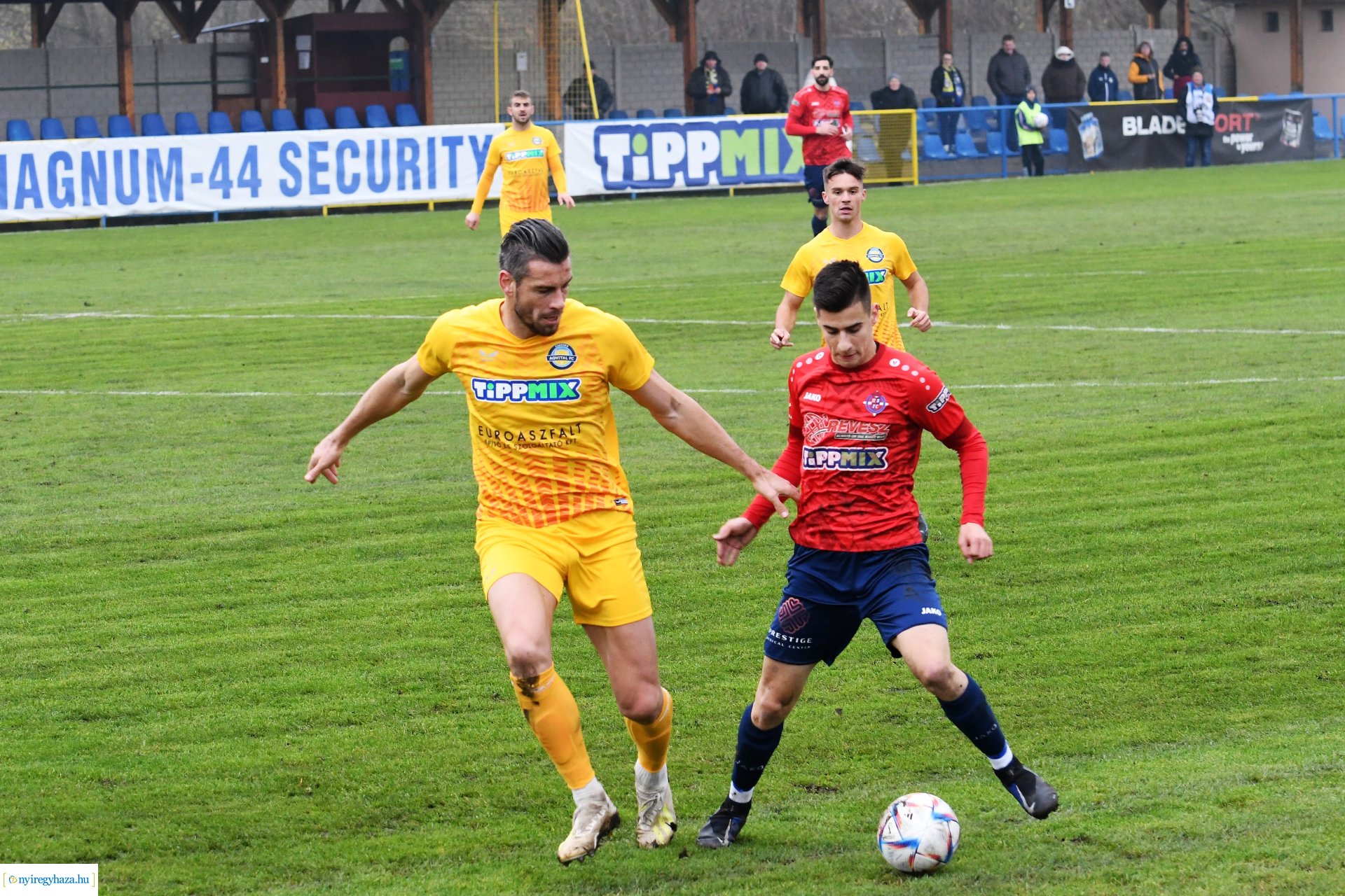 Nyíregyháza Spartacus-Csákvár 2022 - ősz