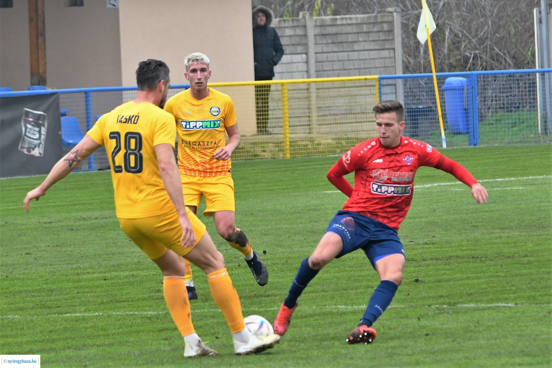 Nyíregyháza Spartacus-Csákvár 2022 - ősz