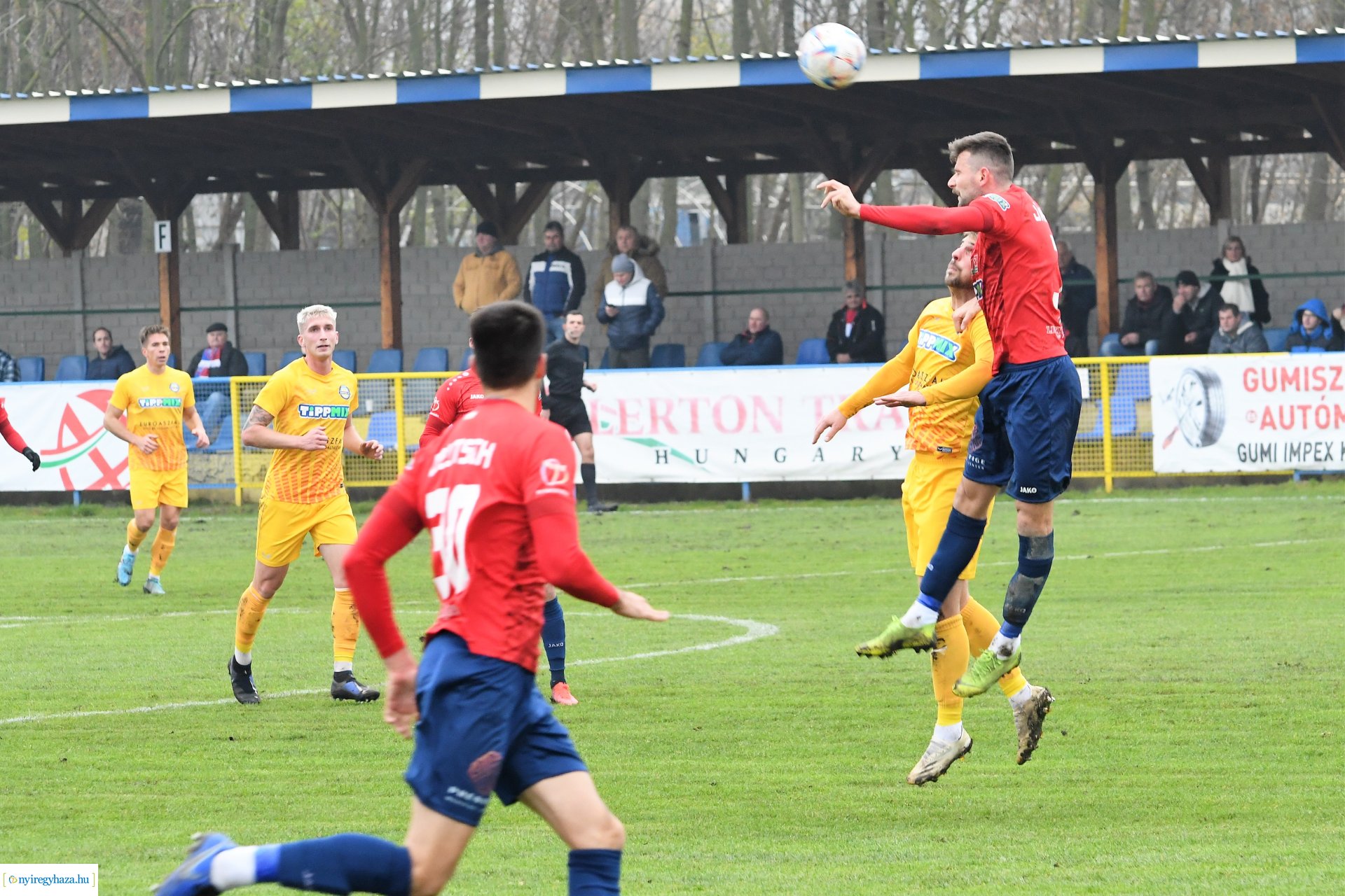 Nyíregyháza Spartacus-Csákvár 2022 - ősz