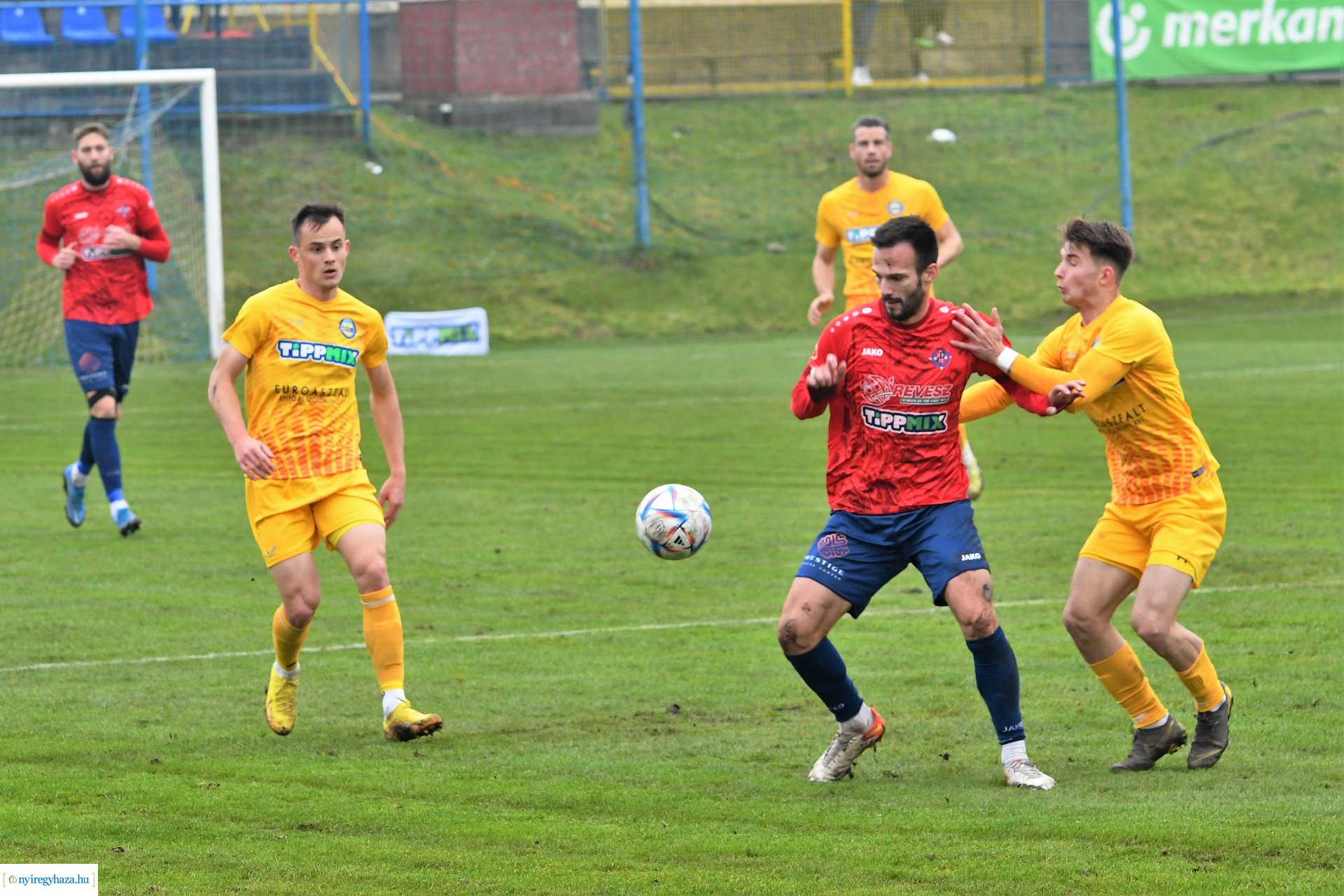 Nyíregyháza Spartacus-Csákvár 2022 - ősz