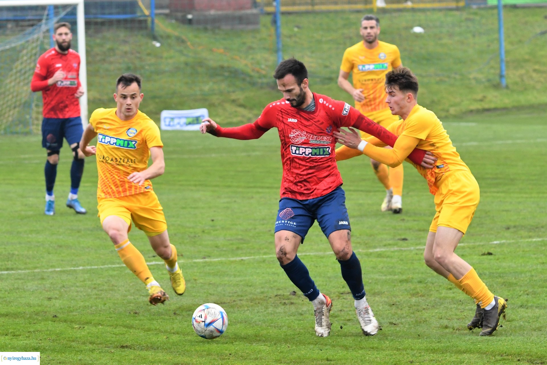 Nyíregyháza Spartacus-Csákvár 2022 - ősz