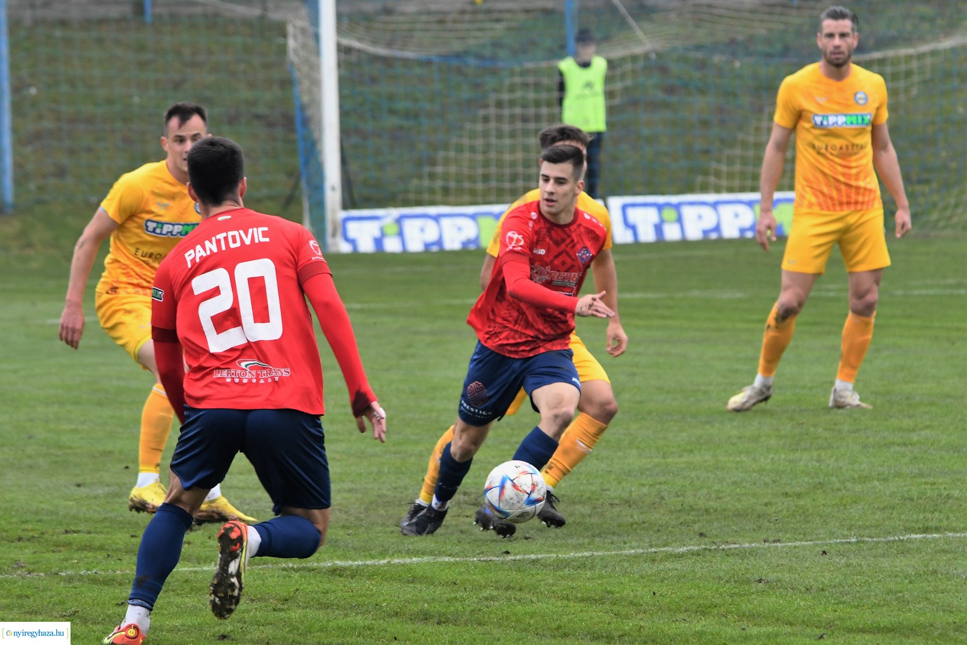 Nyíregyháza Spartacus-Csákvár 2022 - ősz