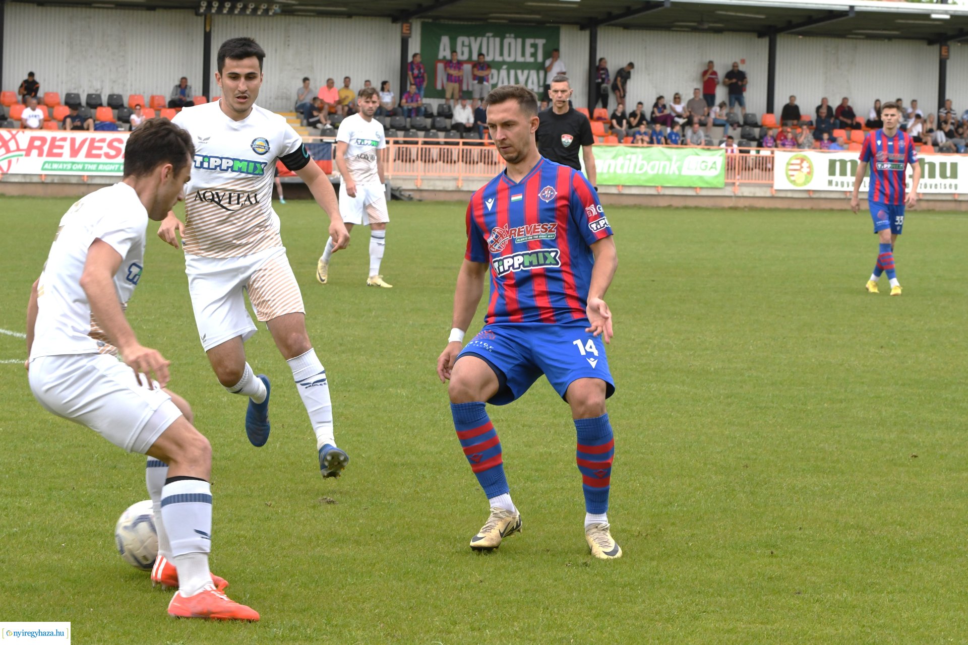 Nyíregyháza Spartacus - Csákvár