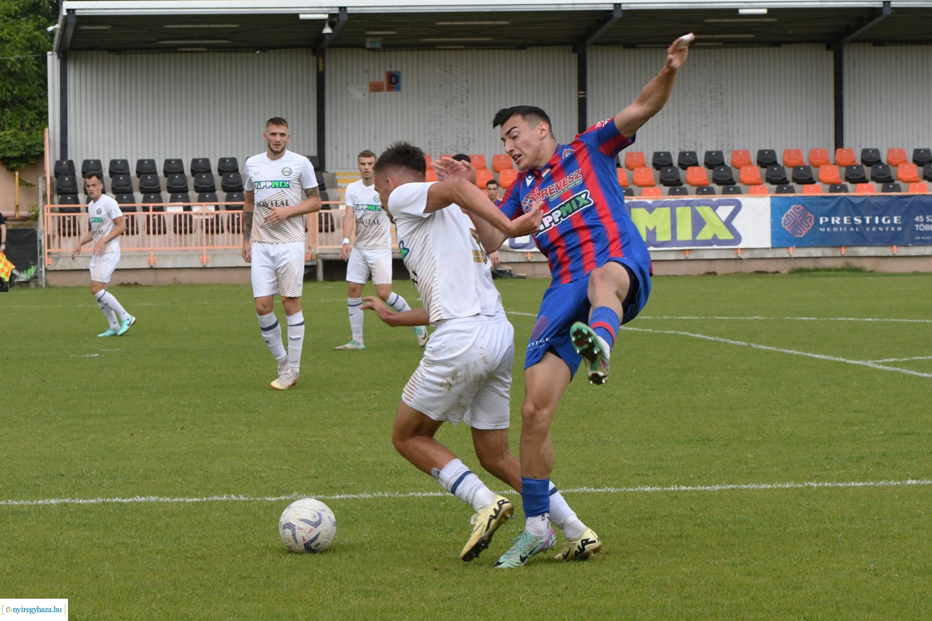 Nyíregyháza Spartacus - Csákvár