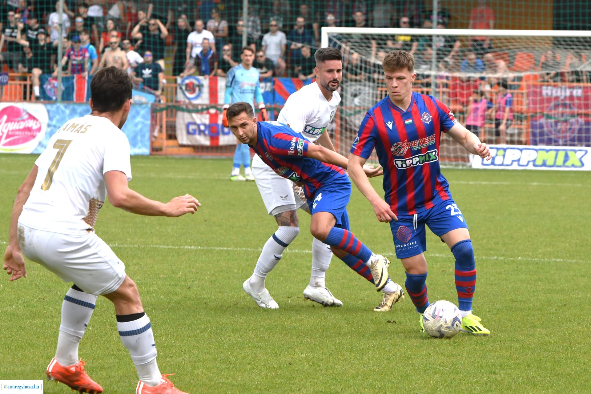 Nyíregyháza Spartacus - Csákvár