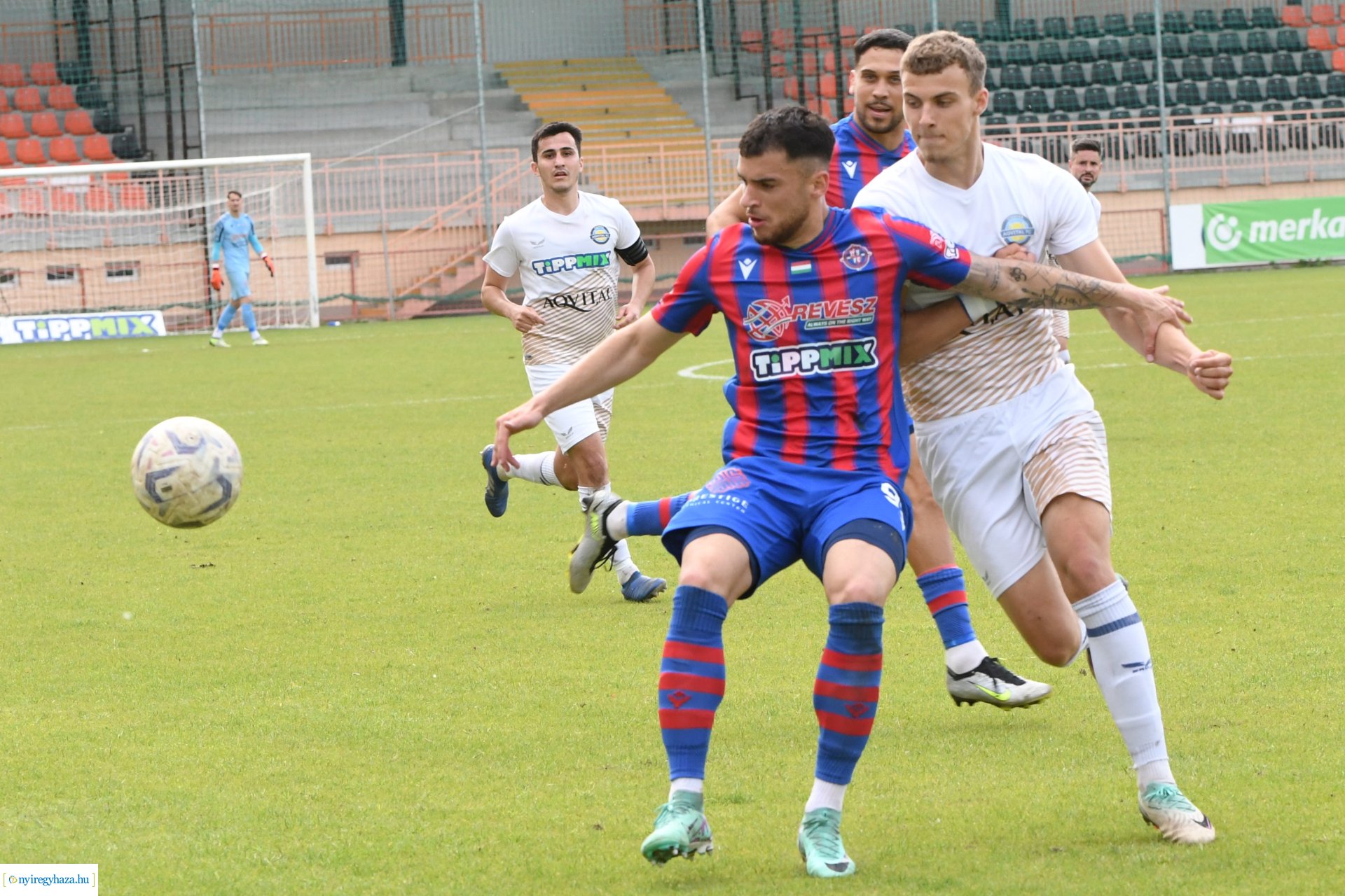 Nyíregyháza Spartacus - Csákvár