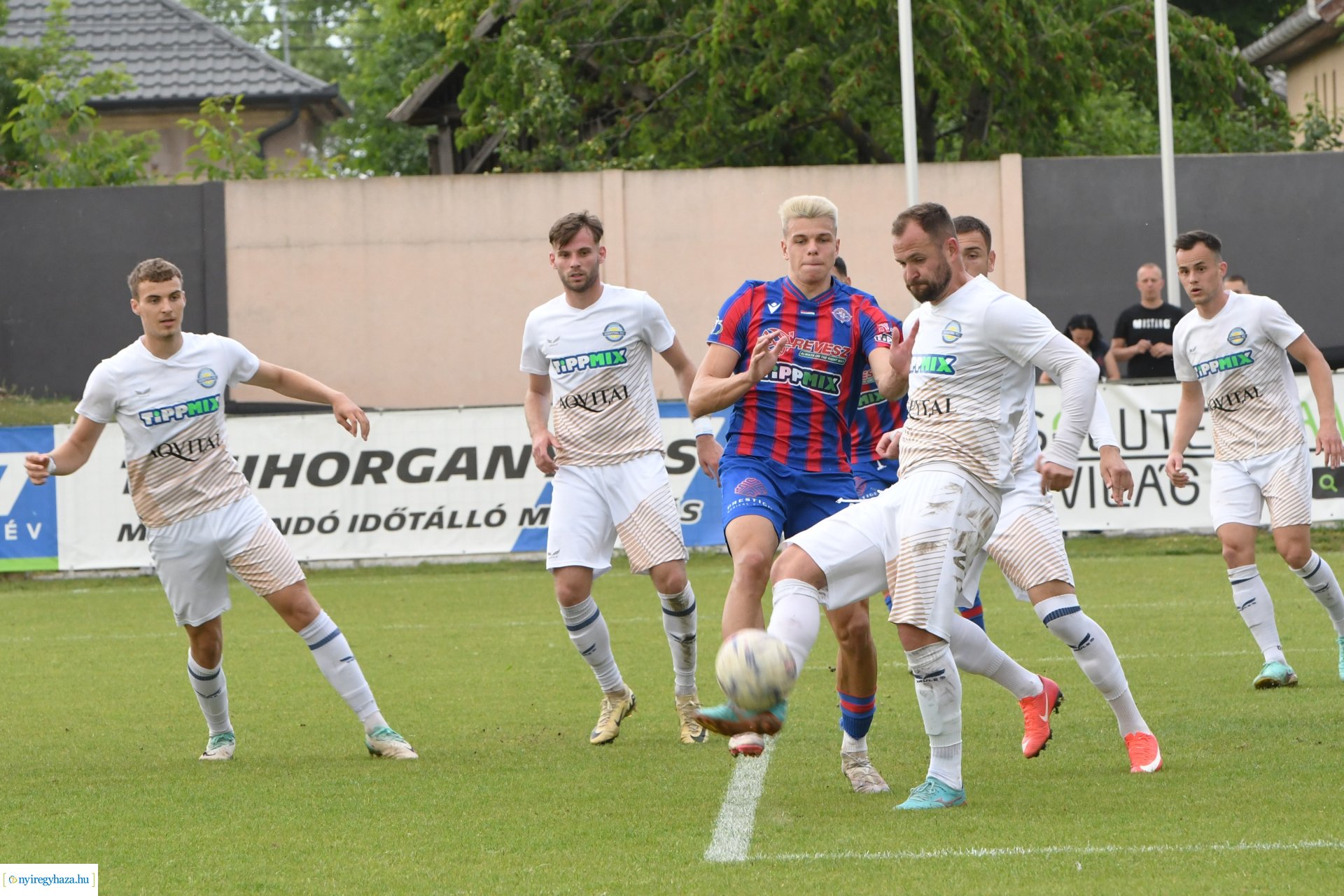 Nyíregyháza Spartacus - Csákvár