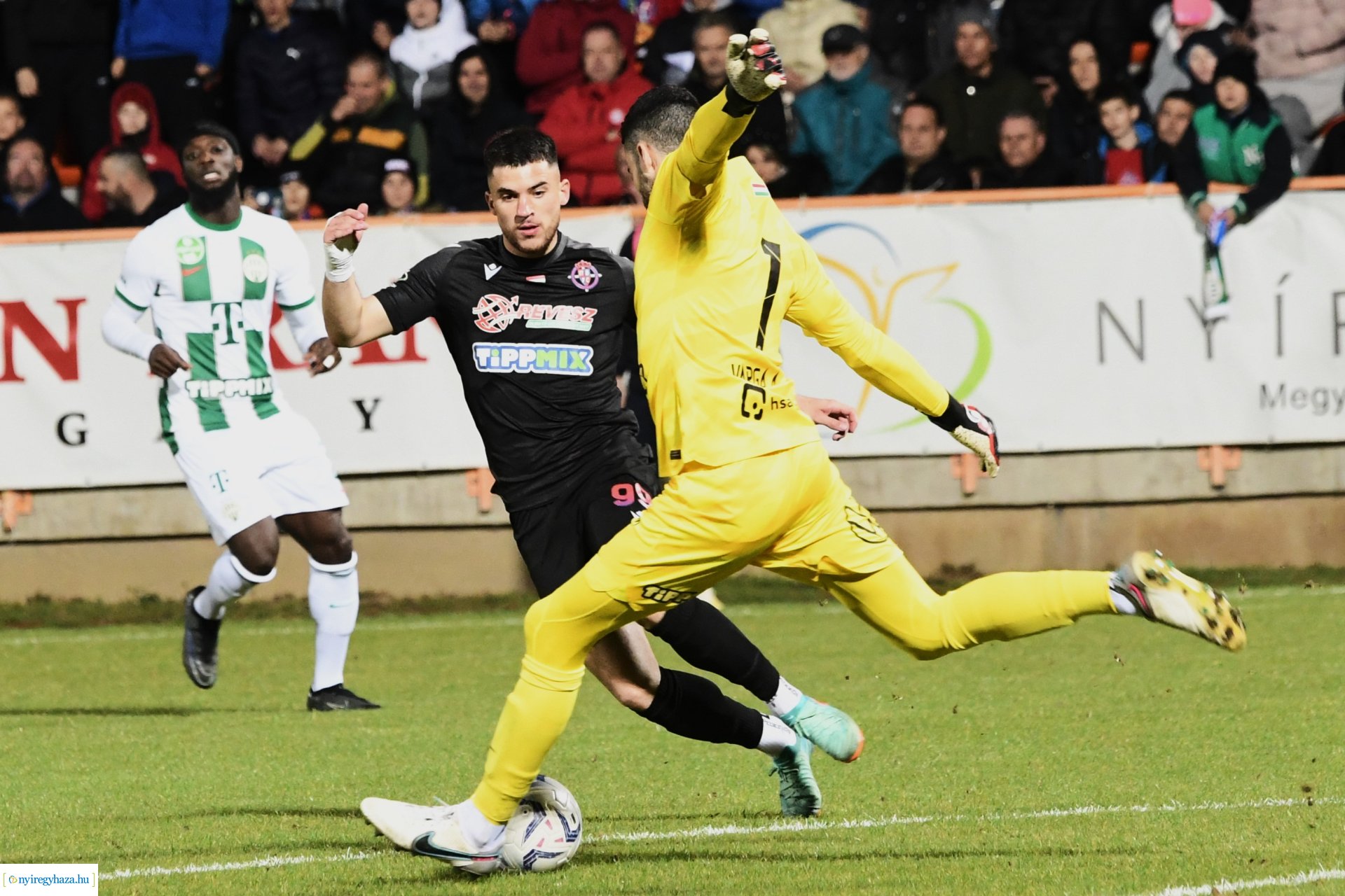 Nyíregyháza Spartacus-Ferencváros - MK