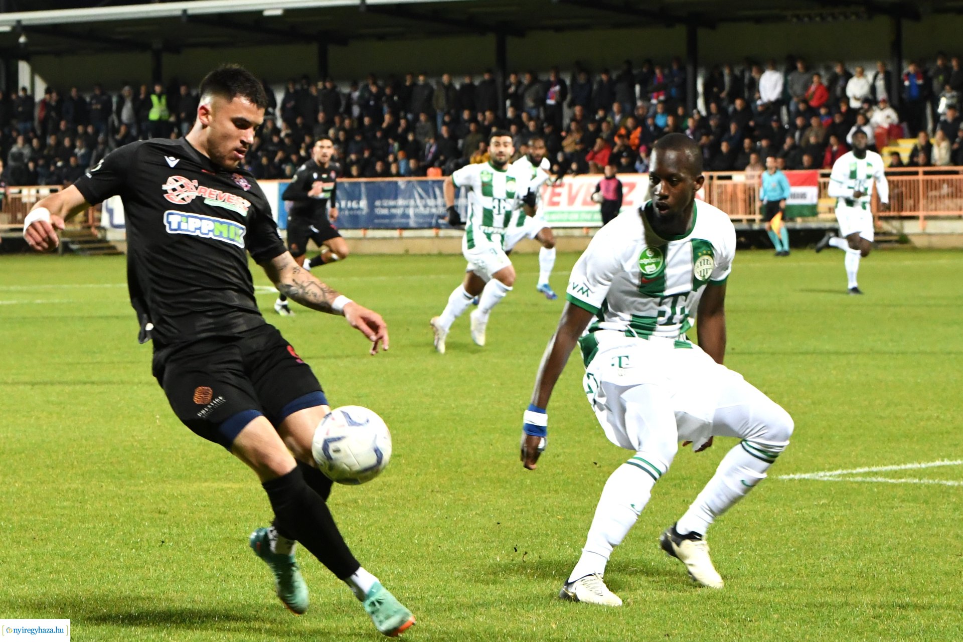 Nyíregyháza Spartacus-Ferencváros - MK