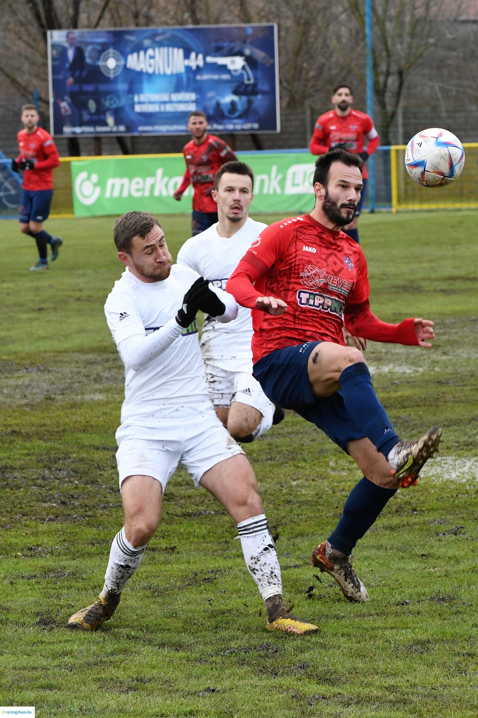 Nyíregyháza Spartacus- Győr 2022