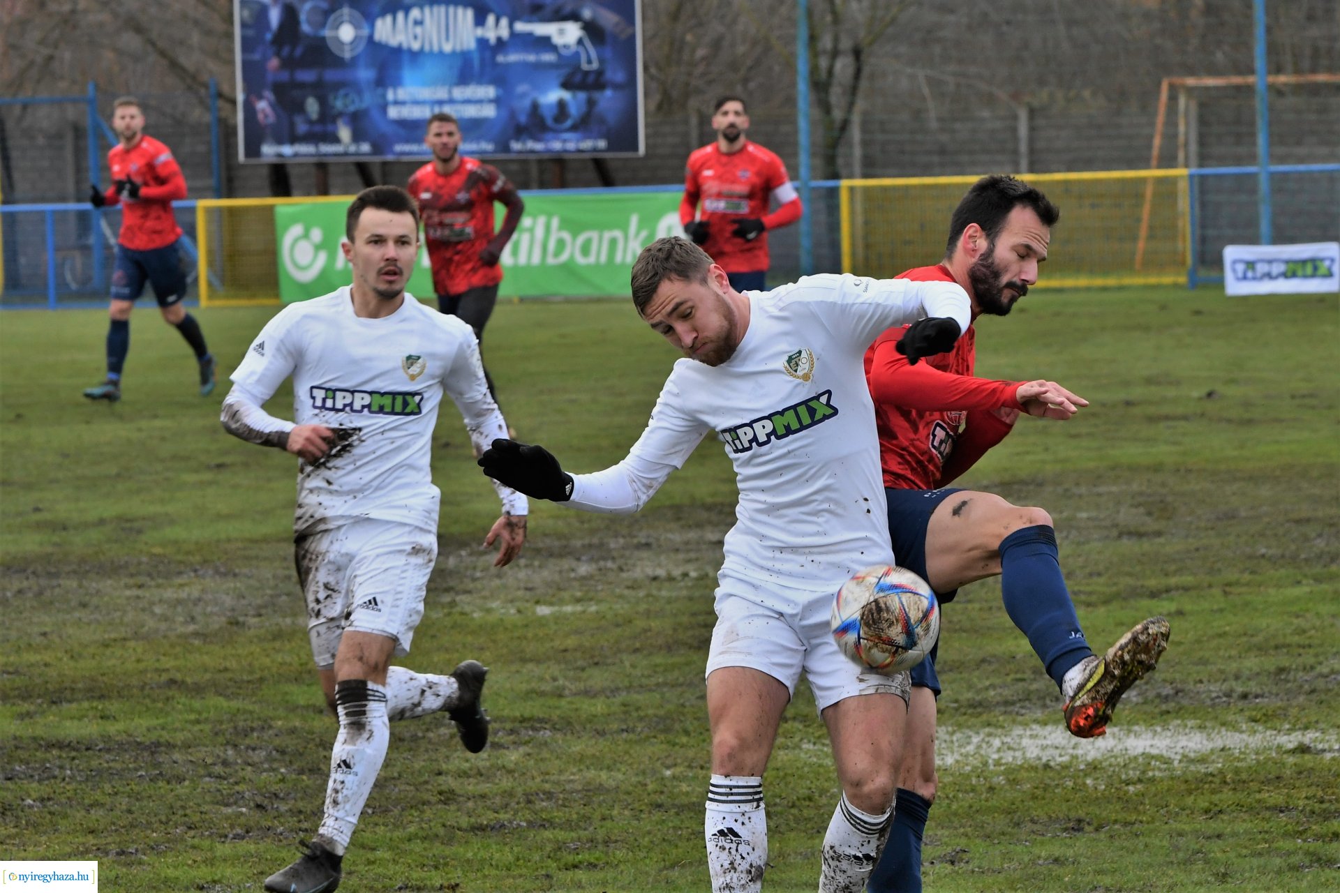 Nyíregyháza Spartacus- Győr 2022