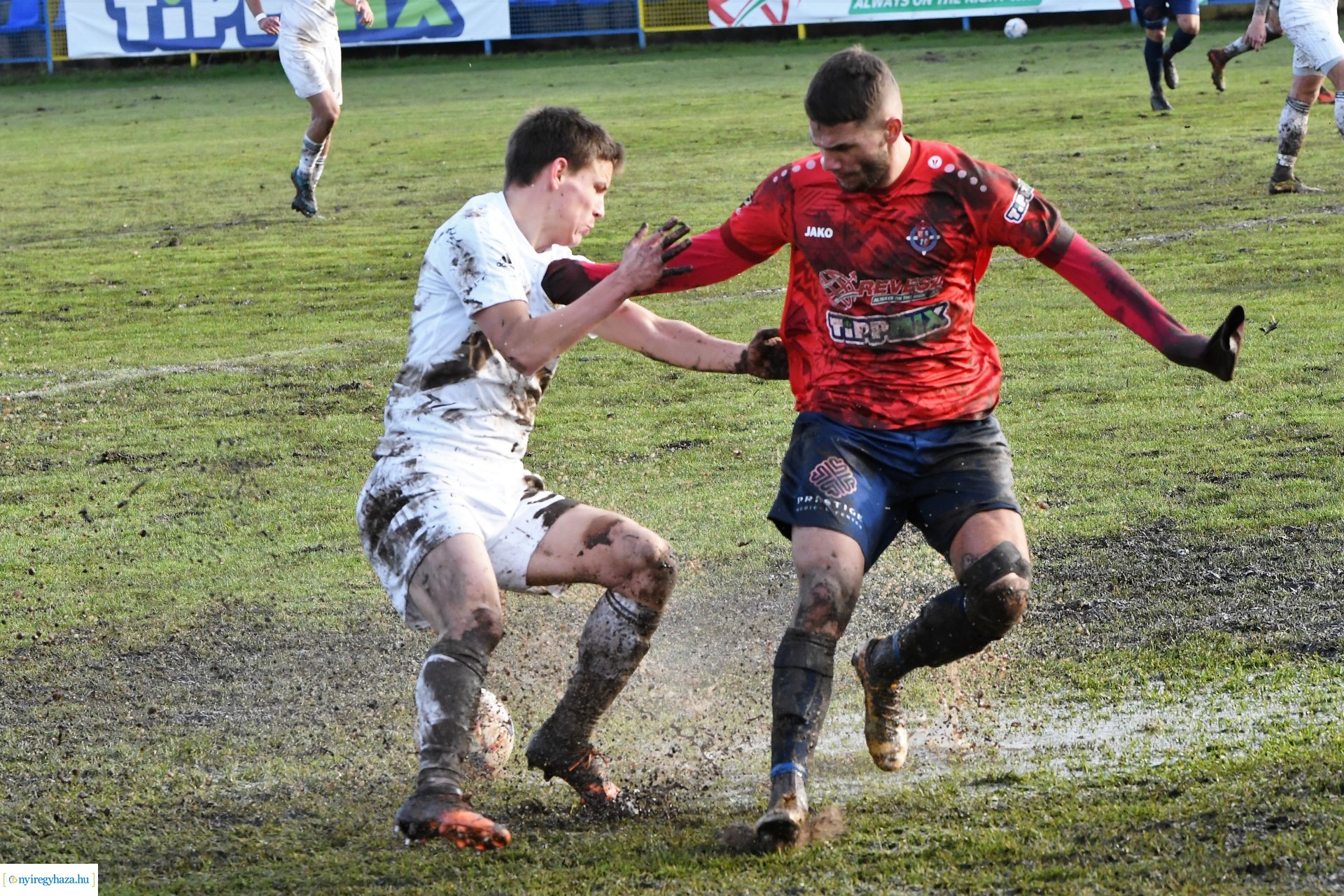 Nyíregyháza Spartacus- Győr 2022