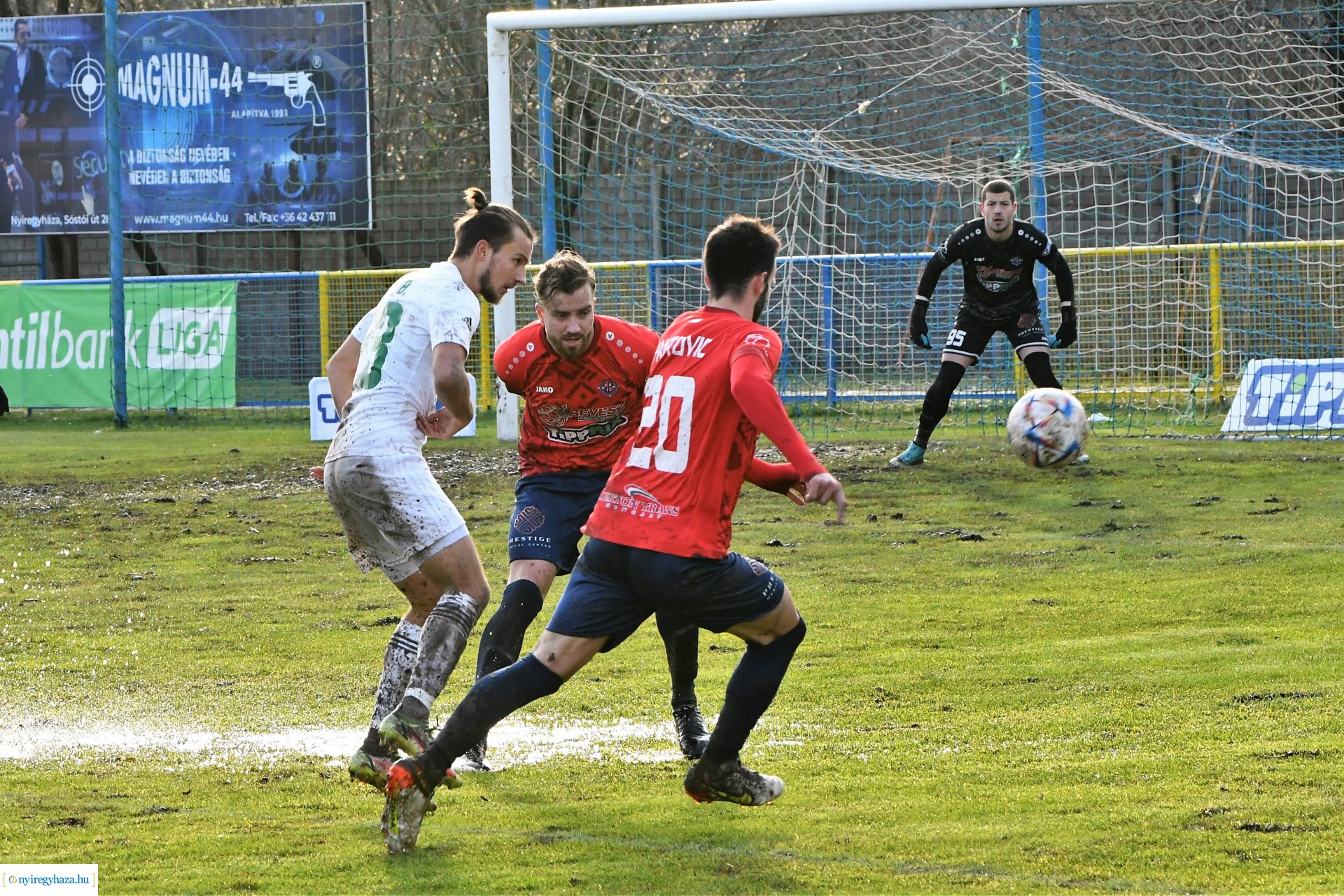 Nyíregyháza Spartacus- Győr 2022