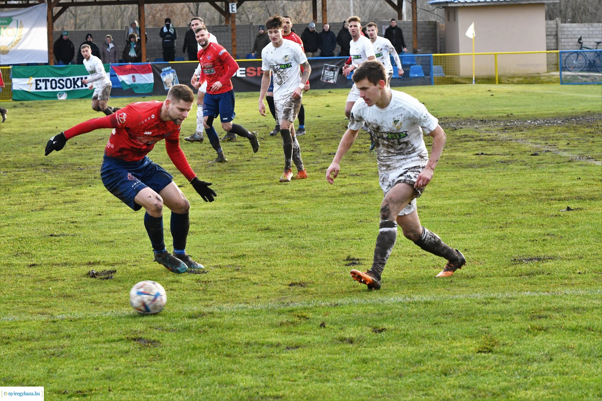 Nyíregyháza Spartacus- Győr 2022