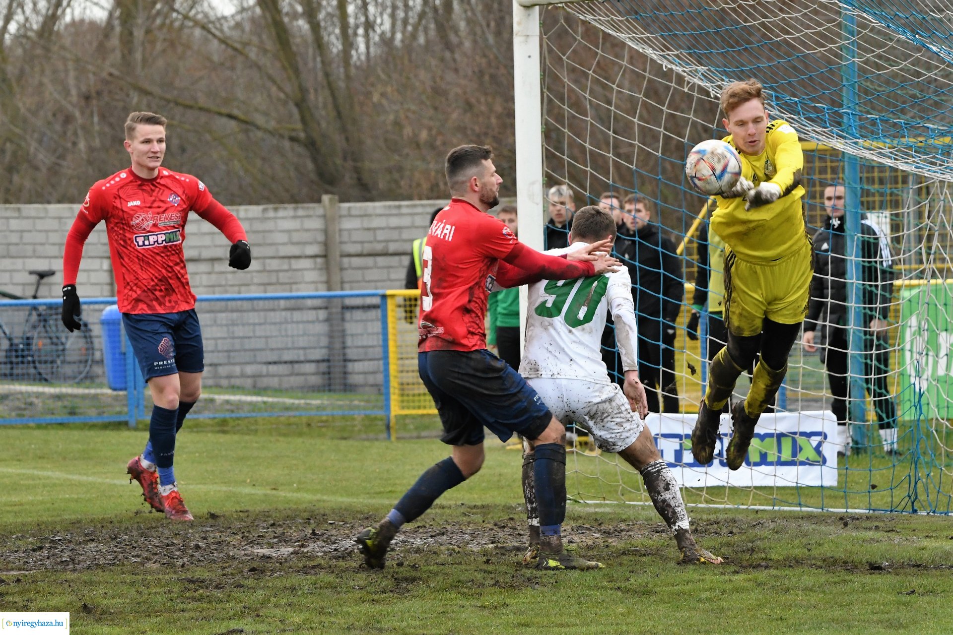 Nyíregyháza Spartacus- Győr 2022