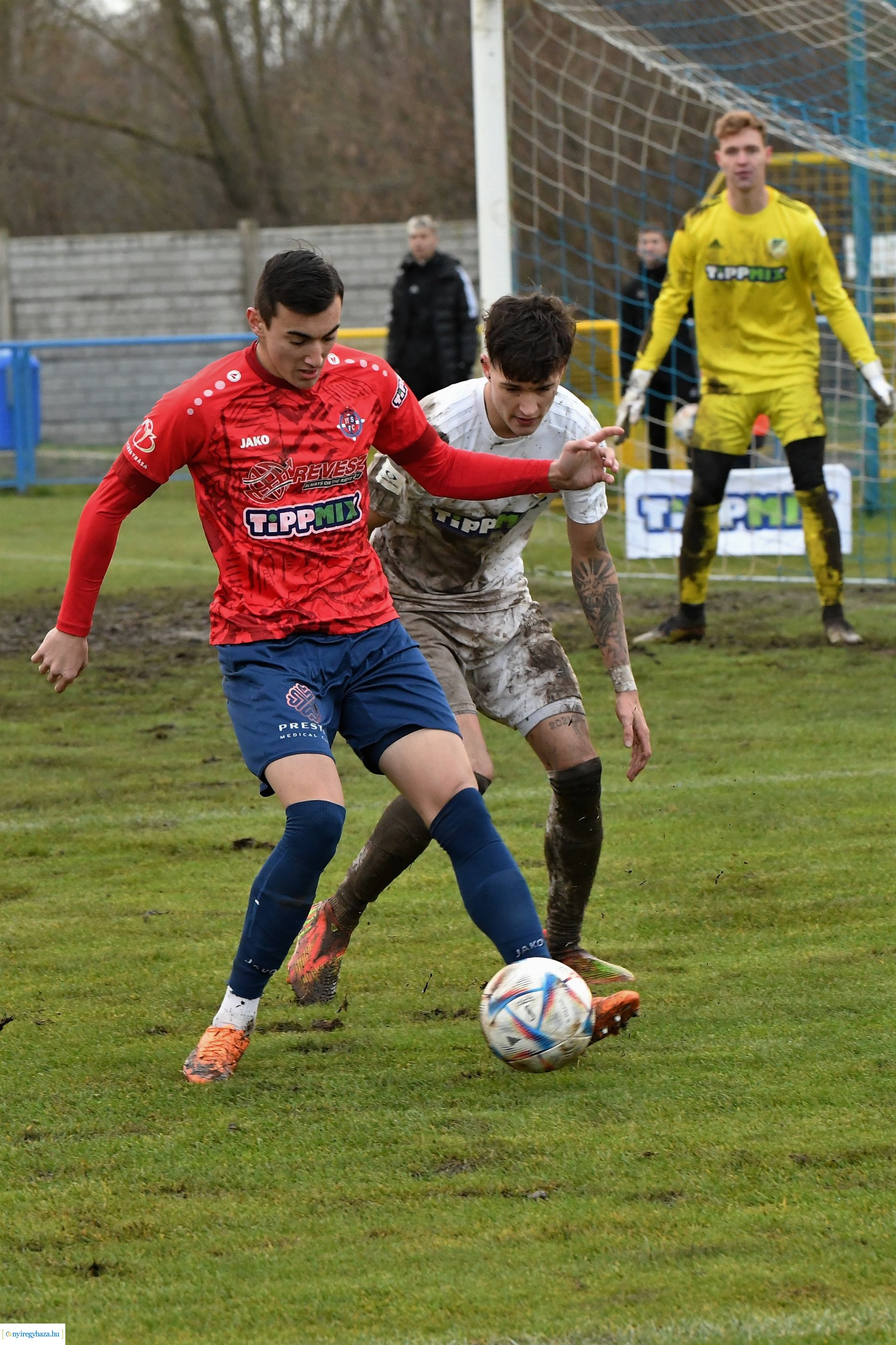 Nyíregyháza Spartacus- Győr 2022