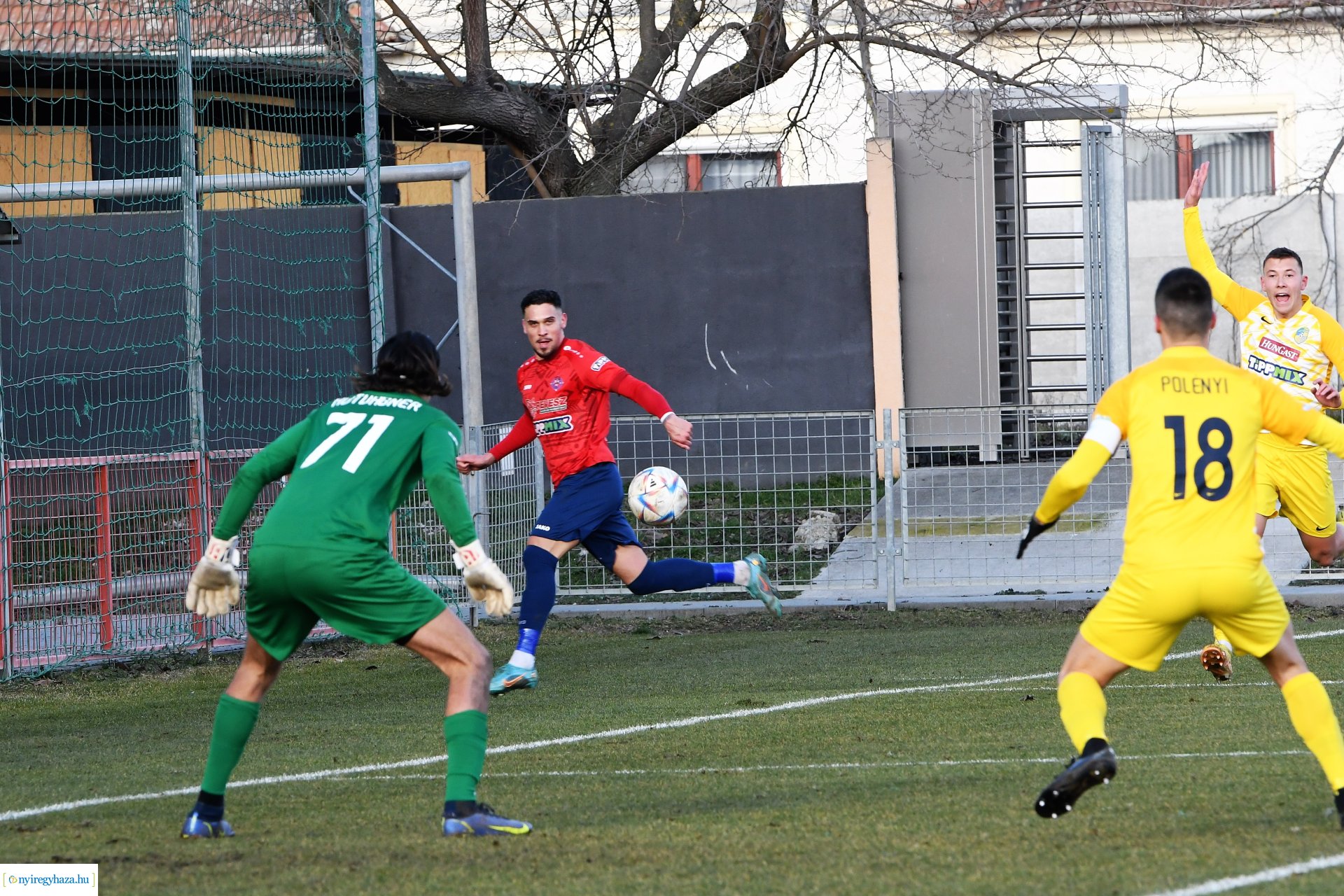 Nyíregyháza Spartacus - Siófok 2023_ tavasz