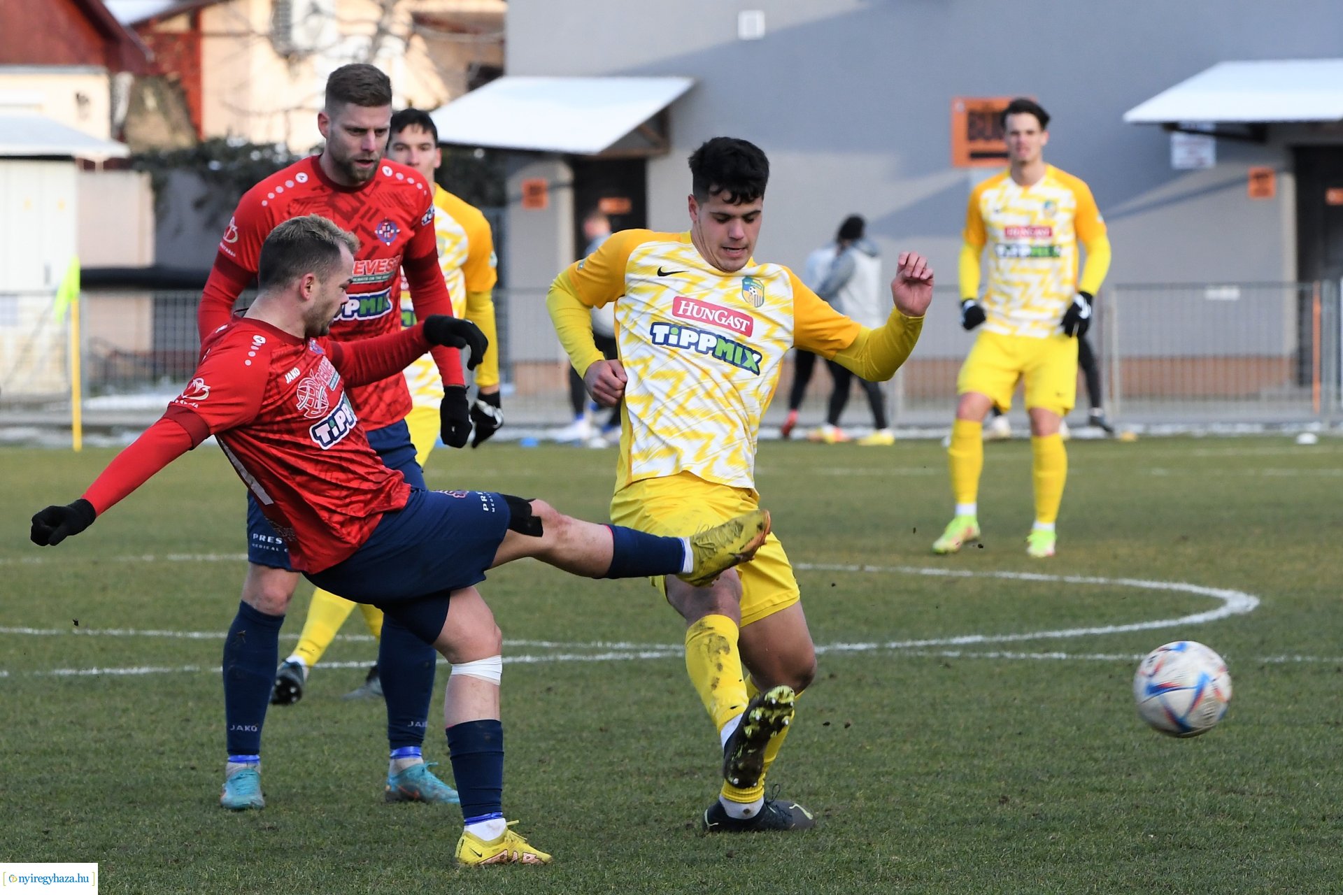 Nyíregyháza Spartacus - Siófok 2023_ tavasz