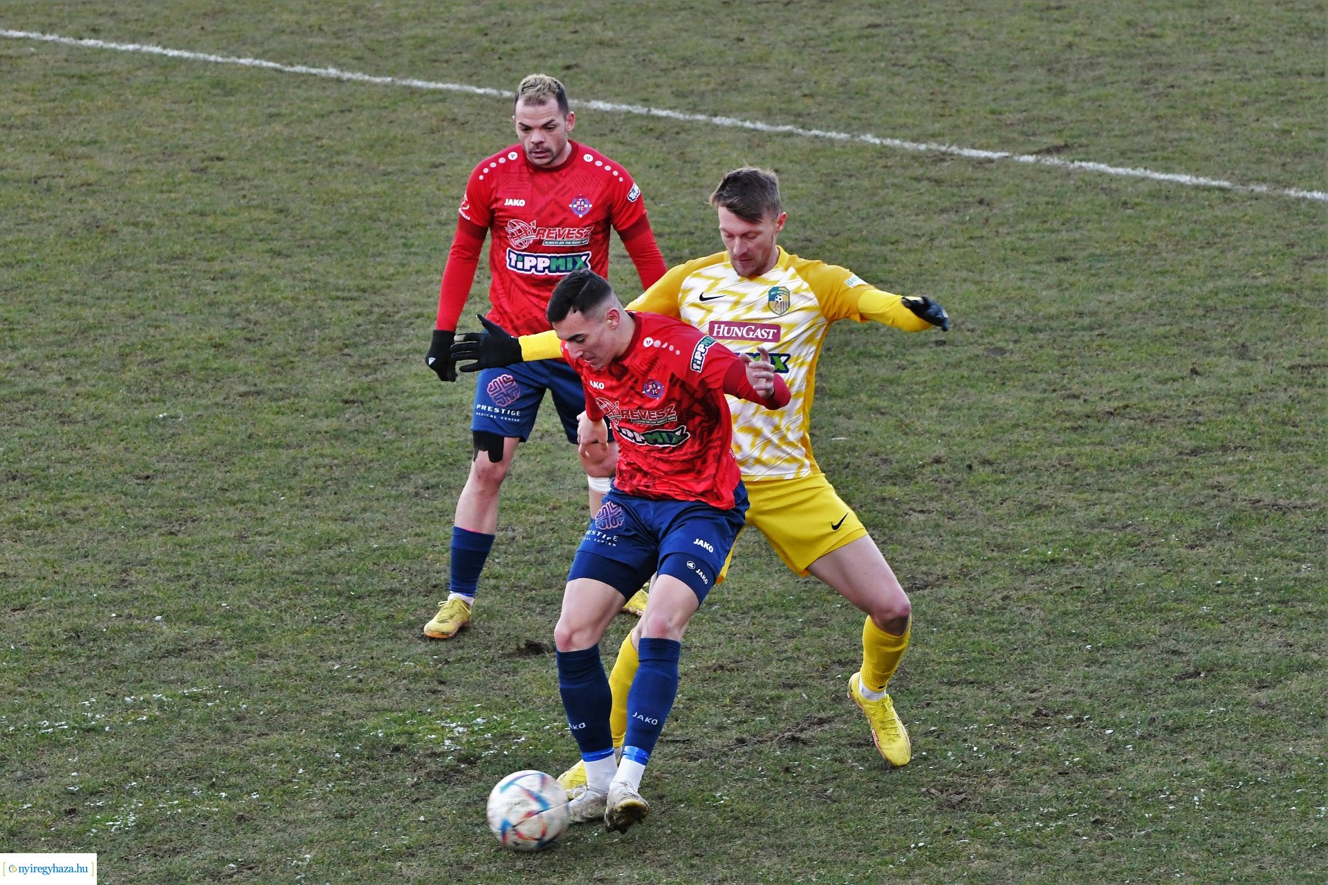 Nyíregyháza Spartacus - Siófok 2023_ tavasz