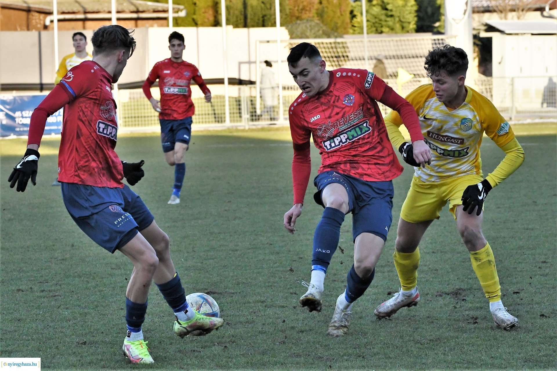 Nyíregyháza Spartacus - Siófok 2023_ tavasz