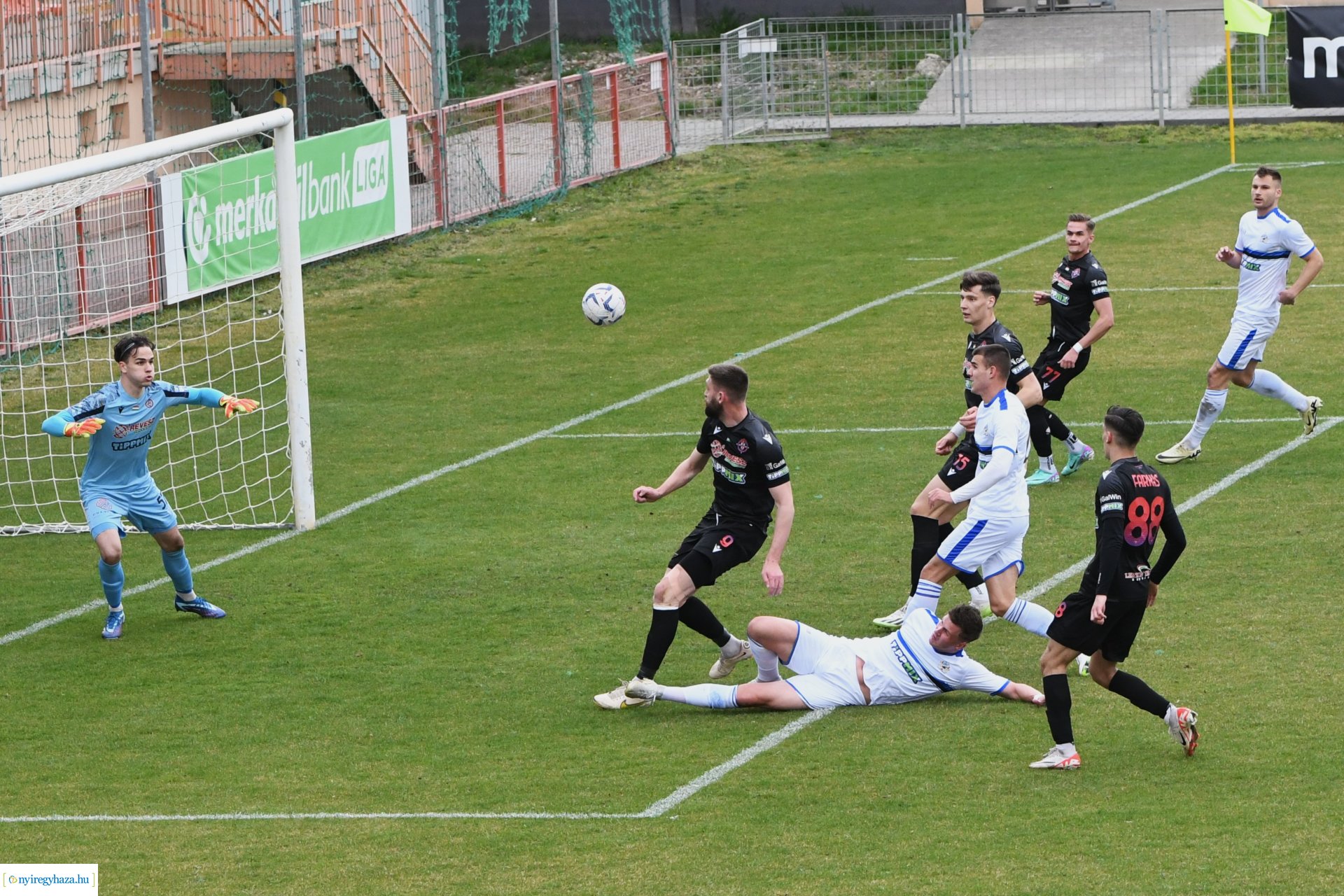 Nyíregyháza Spartacus - Szeged 2024. tavasz